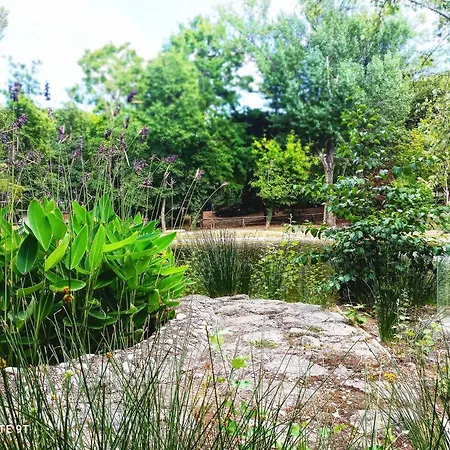 Garisenda - In Centro A -