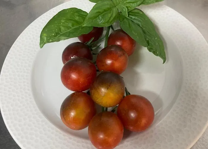 Hotel Garisenda Sul Lungomare Riccione B&Brunch فندق ريتشيوني
