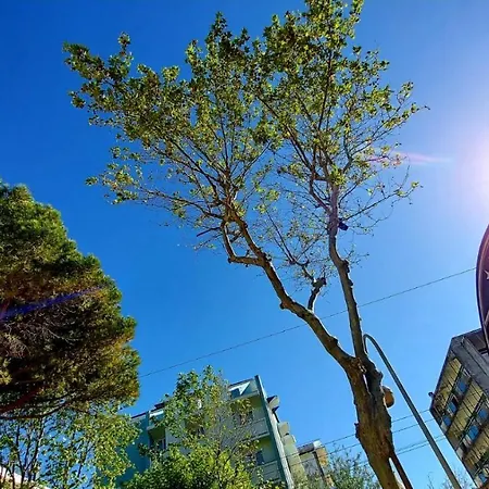 Garisenda - In Centro A - 3* Ριτσιόνε