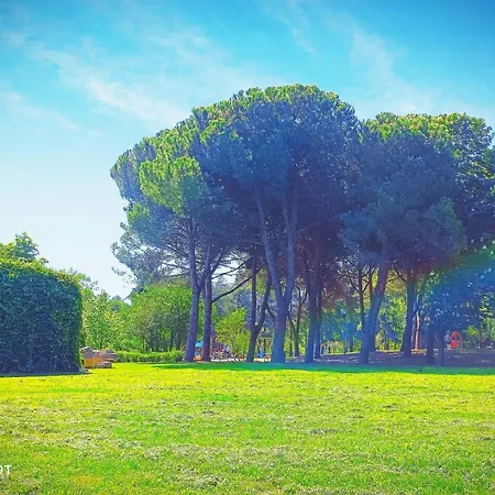 Garisenda - In Centro A - Hotel Riccione