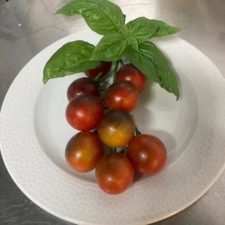 Garisenda - In Centro A - Hotel Riccione