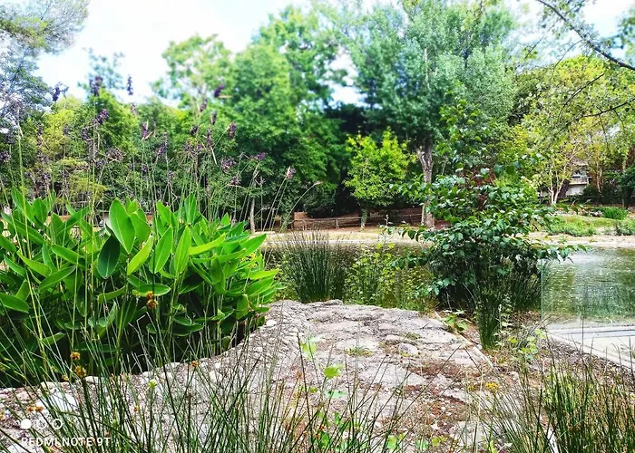 Hotel Garisenda Sul Lungomare Riccione B&Brunch